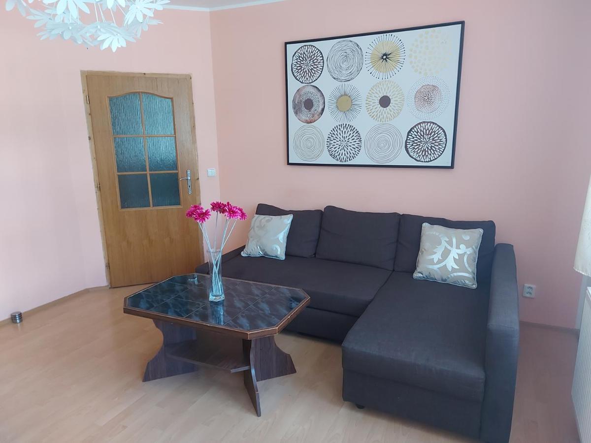Apartman Jachymov Krusne Hory Exterior photo